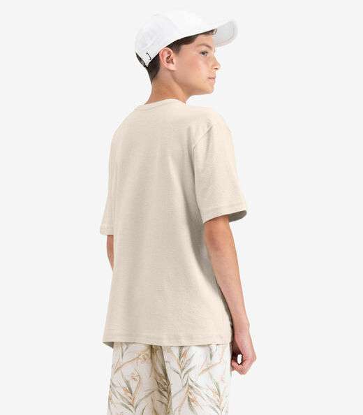 Camiseta Juvenil Masculino em Malhão Fruit Minty Bege