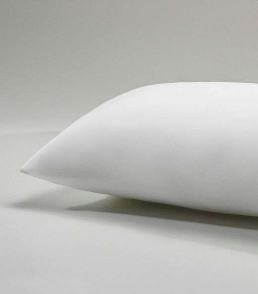 Travesseiro Suporte Firme Antimicrobiana Altenburg Branco