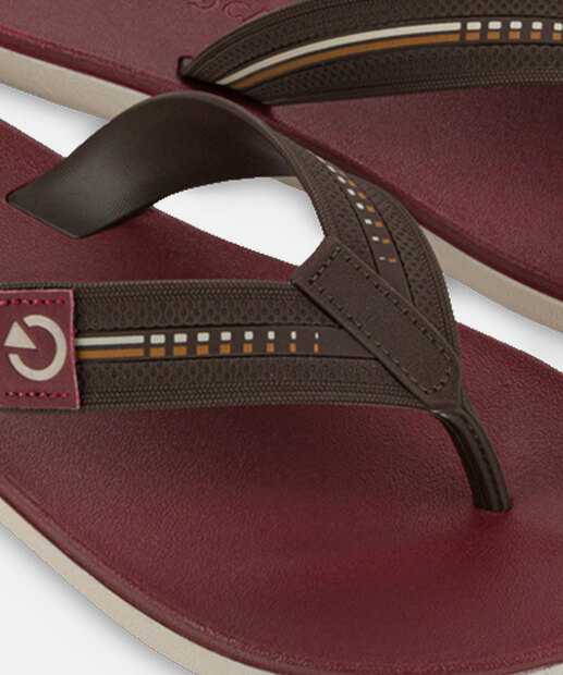 Chinelo Masculino Dublin Cartago