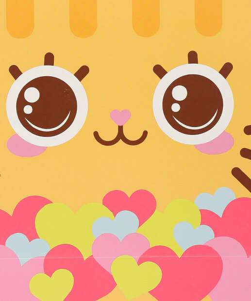 Embalagem Presente Sacola Estampada Marisa