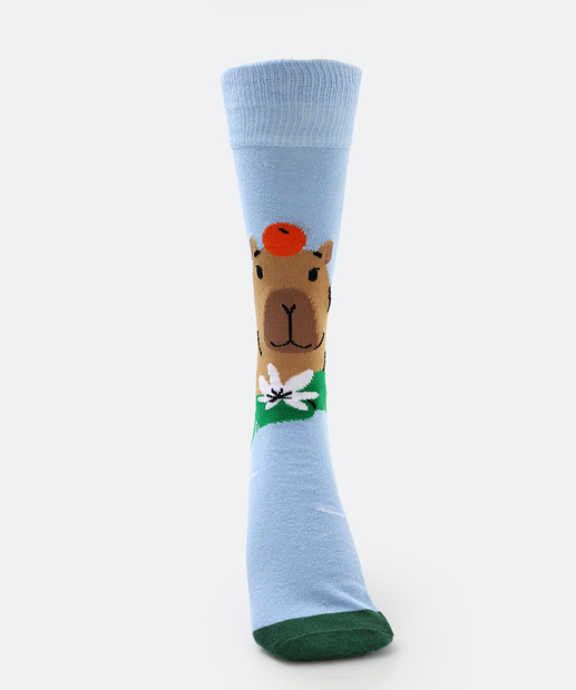 Meia Masculina Cano Longo Estampa Capivara MR Azul