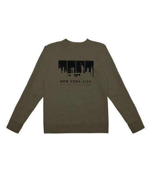 Blusão Juvenil Masculino Em Moletinho Minty Verde