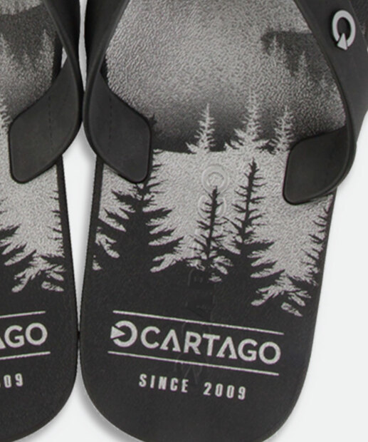 Chinelo Masculino Estamapado Atlanta Cartago