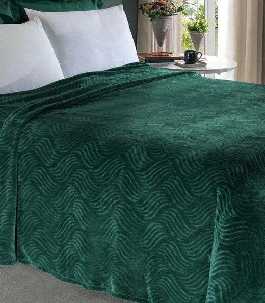 Cobertor Flannel Casal Lar E Lazer Verde