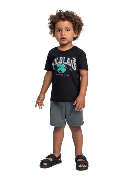 Image_Conjunto Camiseta Dino e Bermuda Bee Loop
