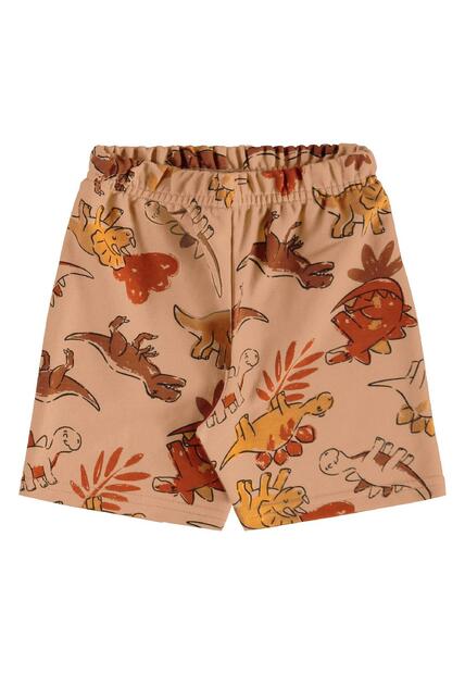 Conjunto Dino Adventure Infantil Bee Loop