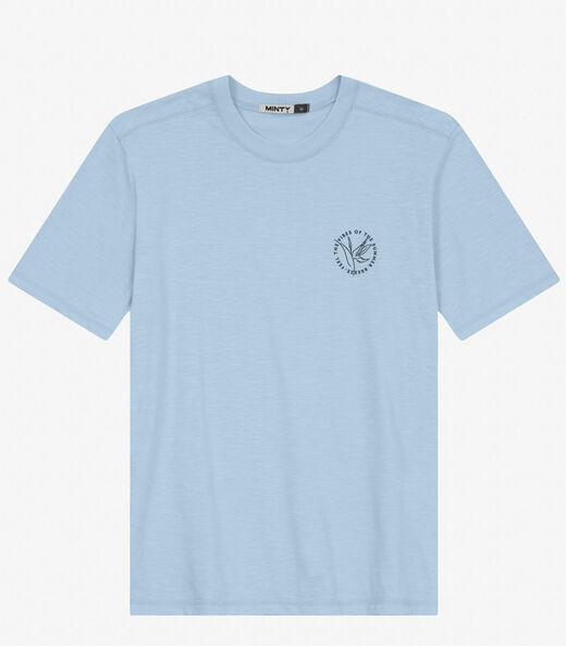 Camiseta Juvenil Masculina em Meia Malha Minty Azul