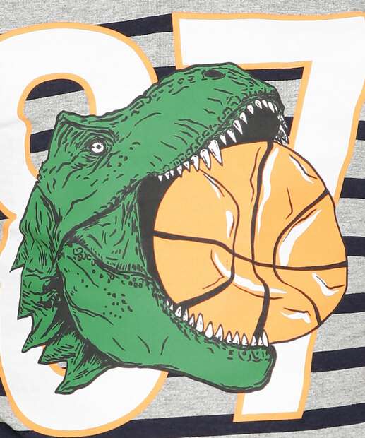 Camiseta Infantil Estampa Dinossauro MR Tam 2 a 14