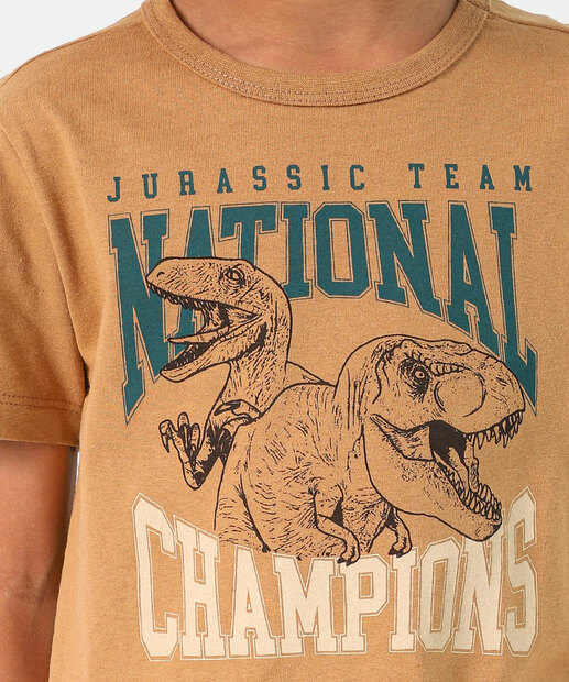 Camiseta Infantil Dinossauro Marisa Tam 4 a 10 Marrom