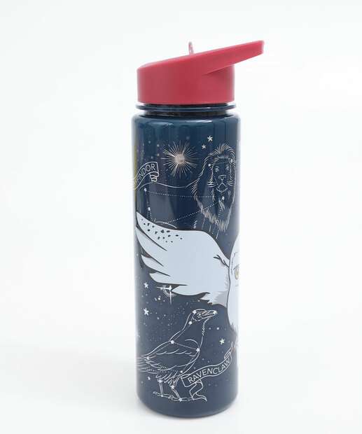 Garrafa Squeeze Harry Potter Warner Bros 650ml