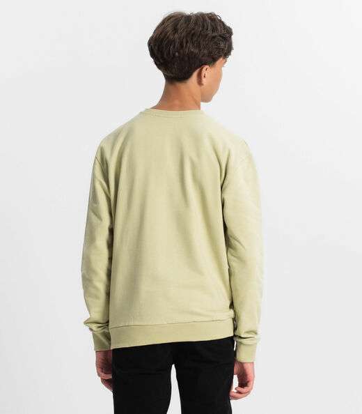Blusão Juvenil Masculino Em Moletom Minty Verde