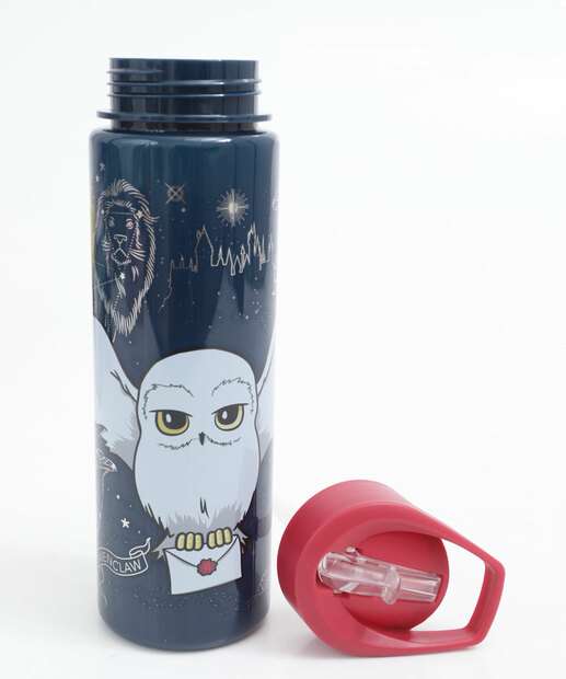 Garrafa Squeeze Harry Potter Warner Bros 650ml