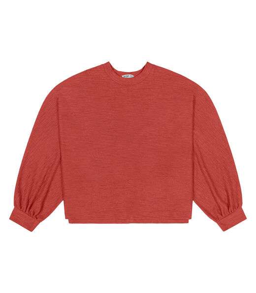 Blusão Feminino Plus Size Secret Glam Marrom