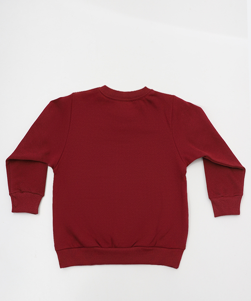 Conjunto Infantil Moletinho Dinossauro MR Tam 1 a 3 Vinho