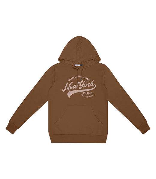 Moletom Juvenil Menino Com Capuz Minty Marrom