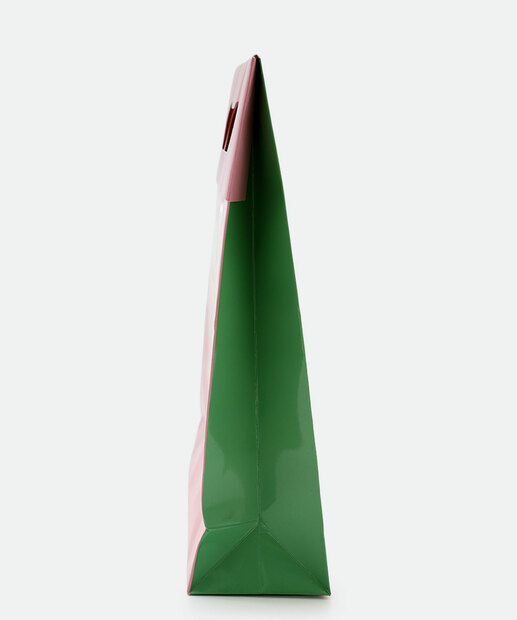 Embalagem Presente Sacola Estampa Flores Marisa Rosa