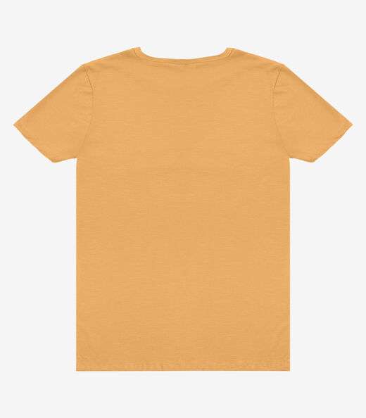 Camiseta Adulto Masculino em Meia Malha Rovitex Marrom