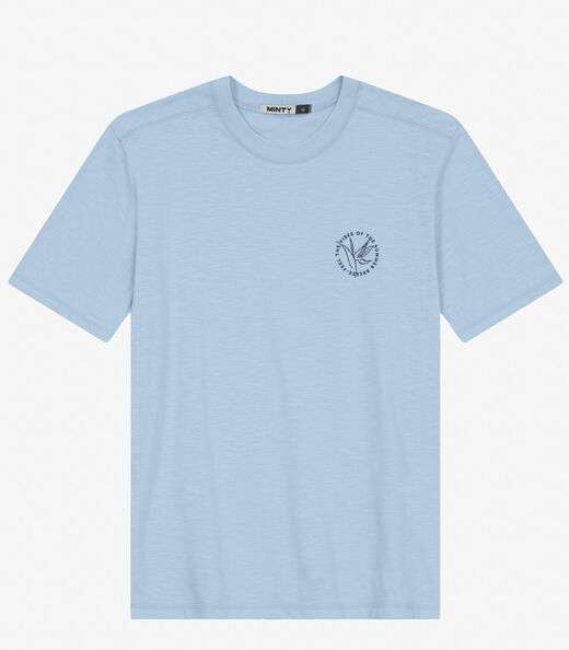 Camiseta Juvenil Masculina em Meia Malha Minty Azul