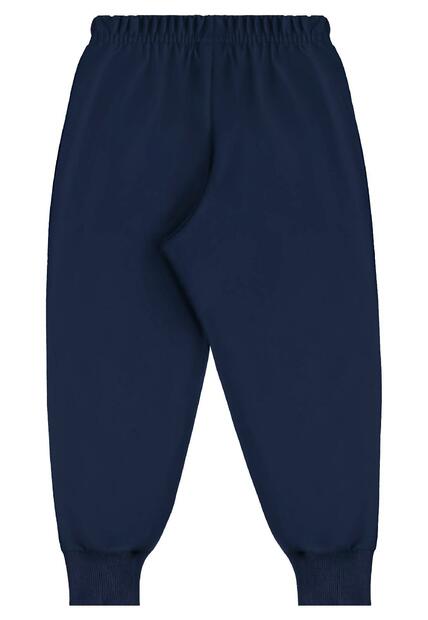 Conjunto Blusão Dinos e Calça Bee Loop
