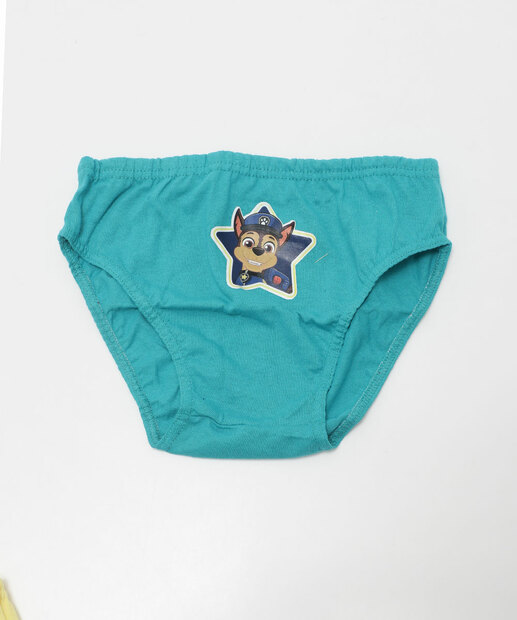 Kit 5 Cuecas Infantil Patrulha Canina Nickelodeon Tam 1 a 12