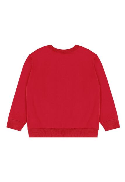 Conjunto Blusão Athletic Div Bee Loop