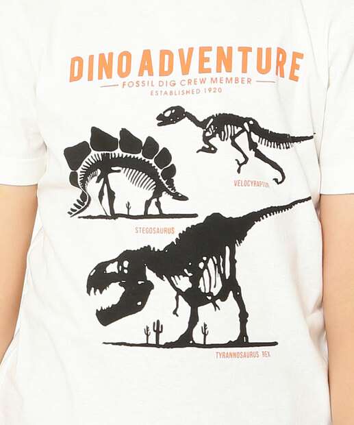 Conjunto Infantil Estampa Dinossauro MR Tam 4 a 10