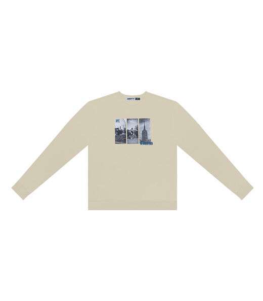 Blusão Juvenil Masculino Em Moletom Minty Bege