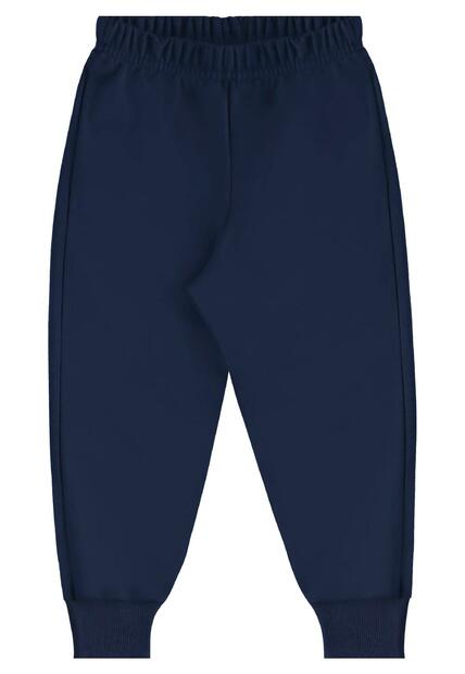 Conjunto Blusão Dinos e Calça Bee Loop