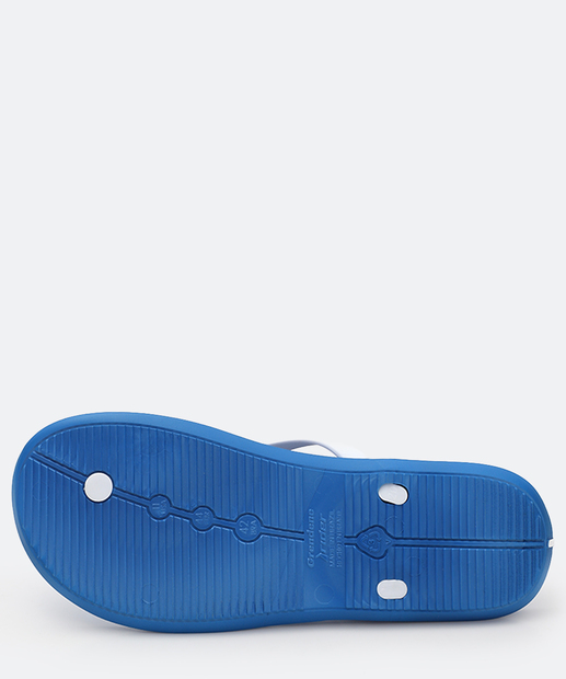 Chinelo Masculino Brasil Rider Azul