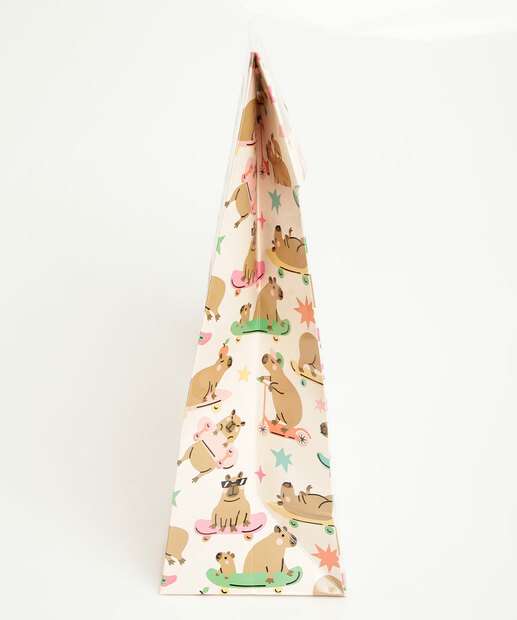 Embalagem Presente Capivara Marisa