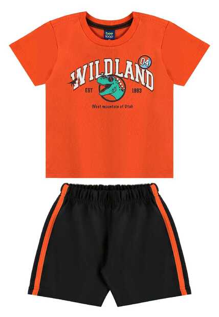 Conjunto Camiseta Dino e Bermuda Bee Loop