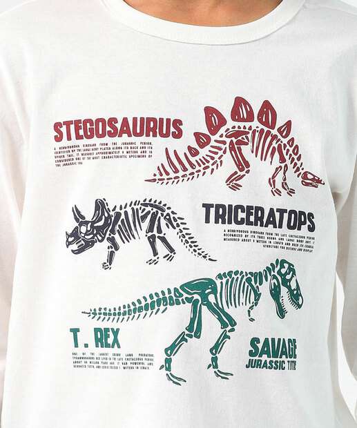 Camiseta Infantil Estampa Dinossauro MR Tam 4 a 10 Off White