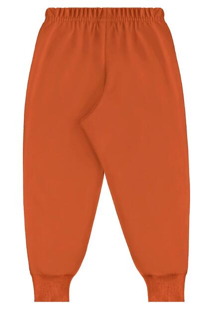 Conjunto Blusão Dinos e Calça Bee Loop