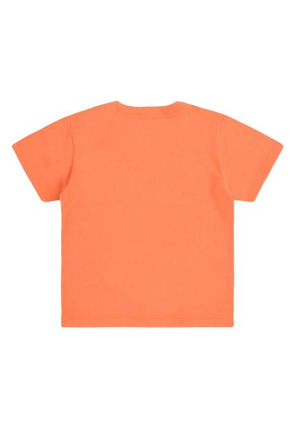 Conjunto Camiseta Bermuda Tubarão Bee Loop