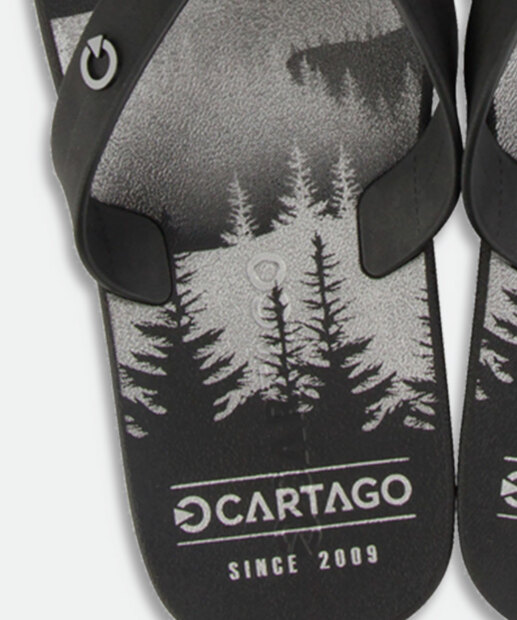 Chinelo Masculino Estamapado Atlanta Cartago