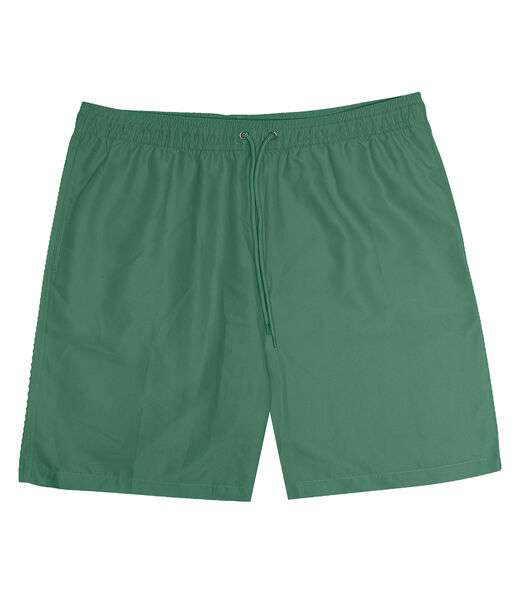 Bermuda Masculina Microfibra Rovitex Verde