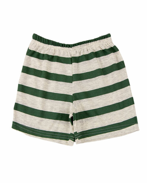 Pijama Infantil Menino Meia Malha e Malha Listrada Silk Refletivo Dinosaur - Mes