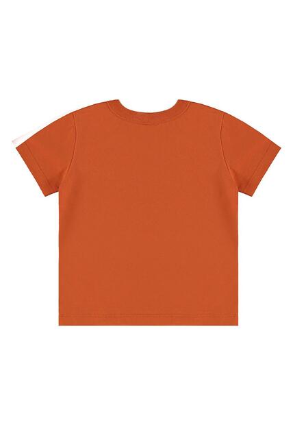 Conjunto Dino Adventure Infantil Bee Loop