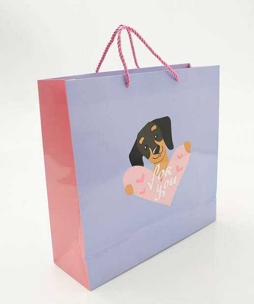 Image_Embalagem Presente Sacola Cachorro Frase Marisa Azul