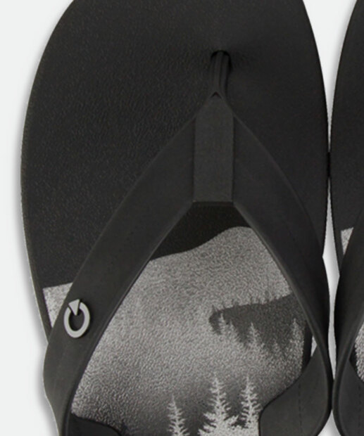 Chinelo Masculino Estamapado Atlanta Cartago