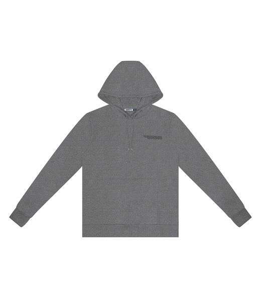 Moletom Juvenil Menino Com Capuz Minty Cinza