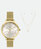 Dourado