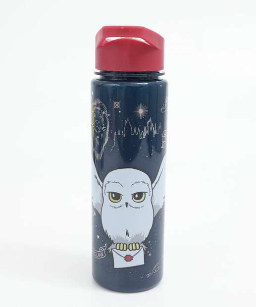 Garrafa Squeeze Harry Potter Warner Bros 650ml