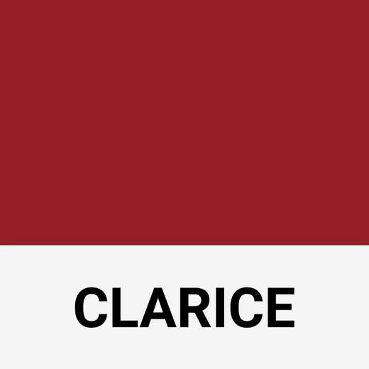 Batom Líquido Matte Franciny Ehlke Clarice