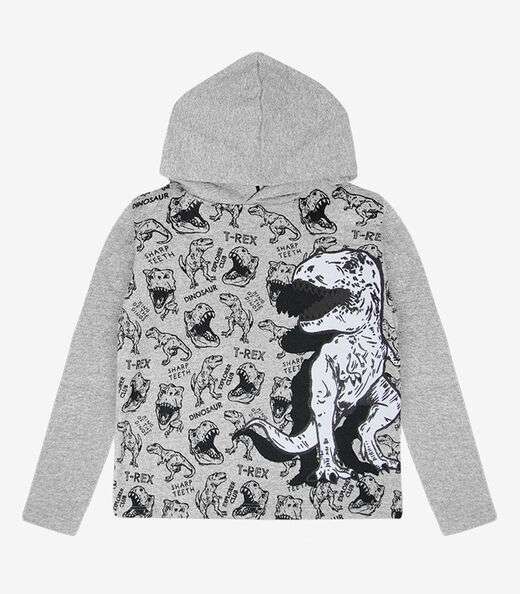 Conjunto Infantil Menino Dino Select Cinza