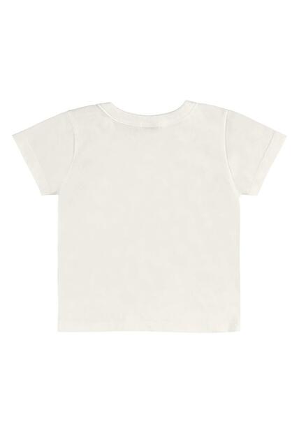 Conjunto Camiseta Dino Bermuda Bee Loop