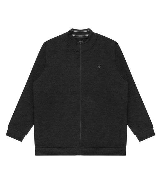 Image_Jaqueta Masculina Plus Size Moletom Diametro Cinza