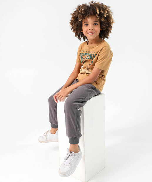 Camiseta Infantil Dinossauro Marisa Tam 4 a 10 Marrom