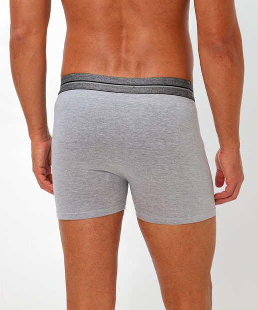 Cueca Boxer Masculina Lupo Cinza