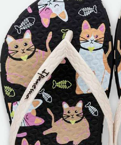Chinelo Ipanema Feminino Pets 